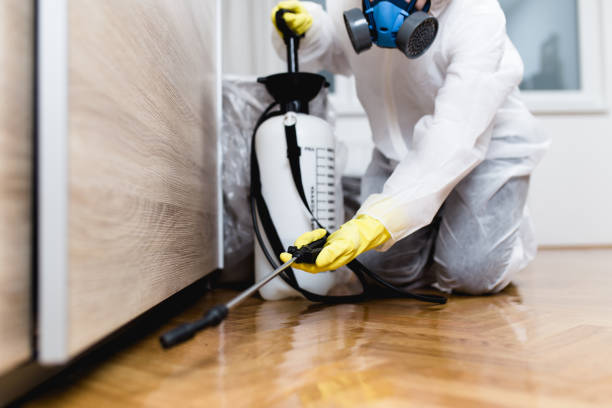 Pest Prevention Services in Wells Branch, TX