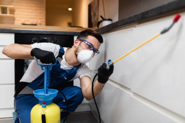 Best Exterminator Services  in Wells Branch, TX
