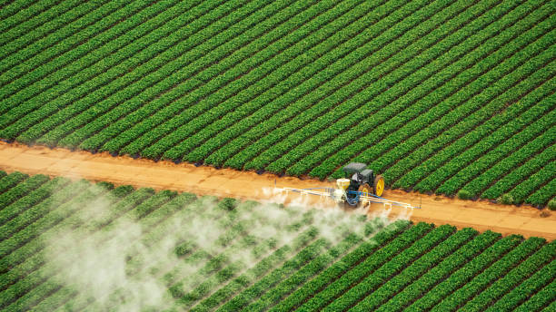 Best Commercial Pest Control Services  in Wells Branch, TX